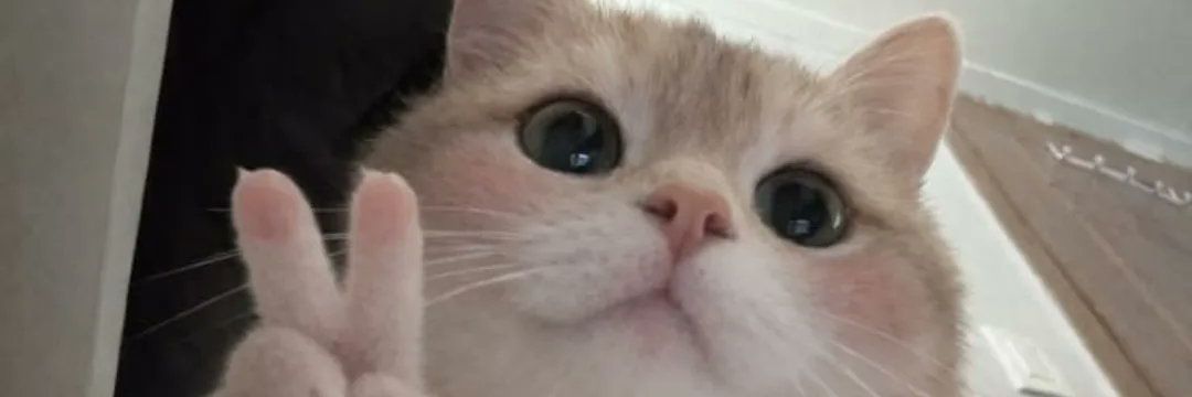 dhokimtb's profile banner image