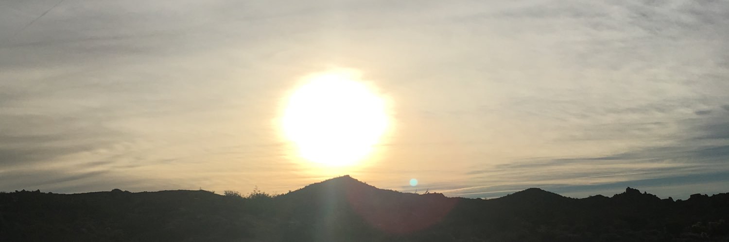 Reggie Lussier VA🐢 banner