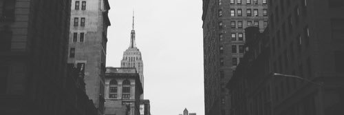dayi banner