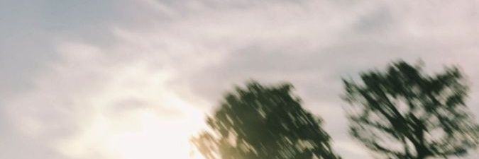 caupcakey's profile banner image
