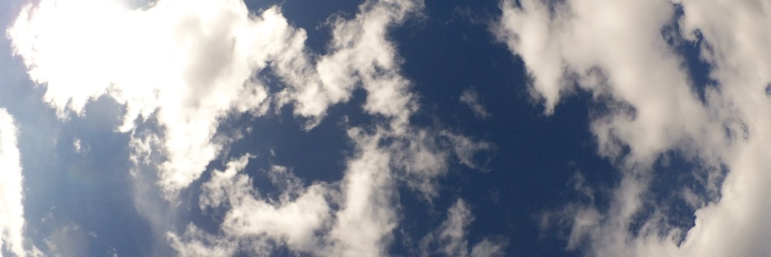 arizona banner