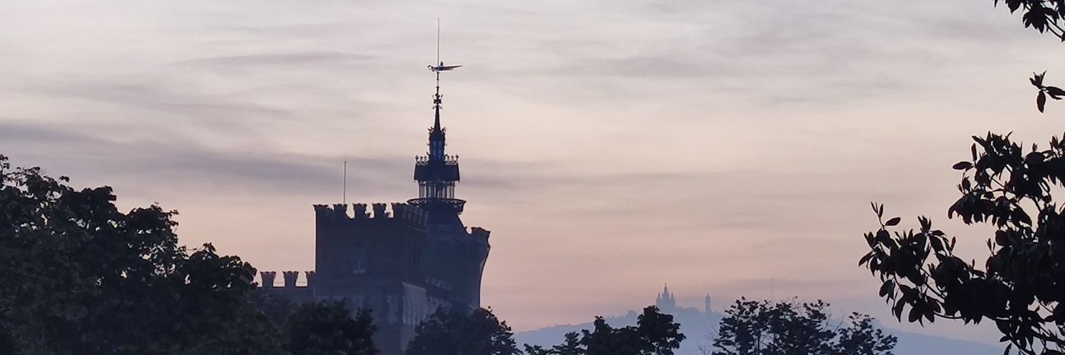 cpinperez's profile banner image