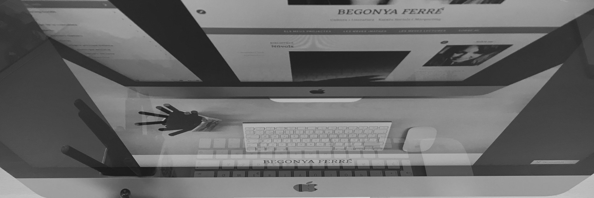 Begonya Ferre banner