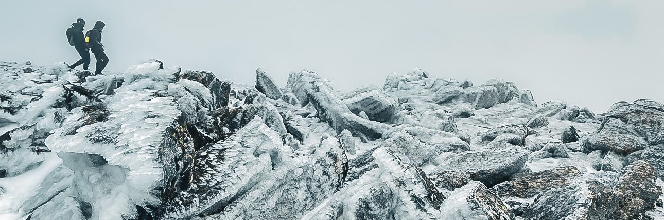 Riley🇵🇸 ↟↟☾ banner