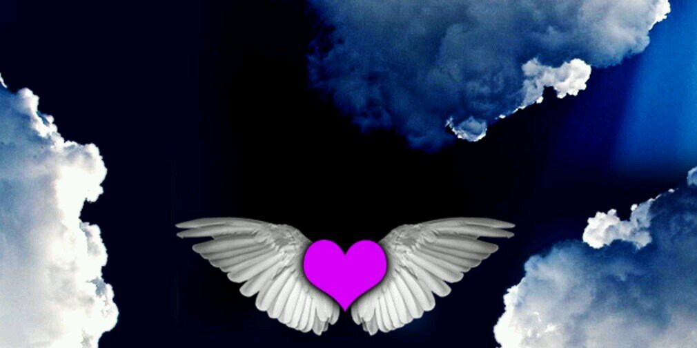 cafeduck's profile banner image