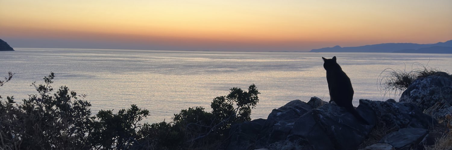 chanutj's profile banner image