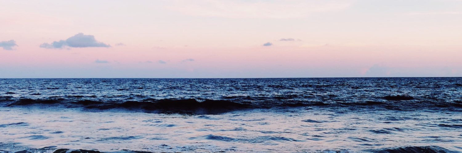 alishabmitchell's profile banner image