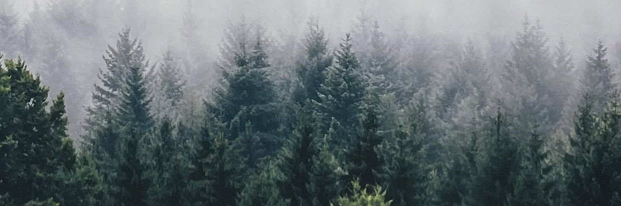 ashpro100's profile banner image