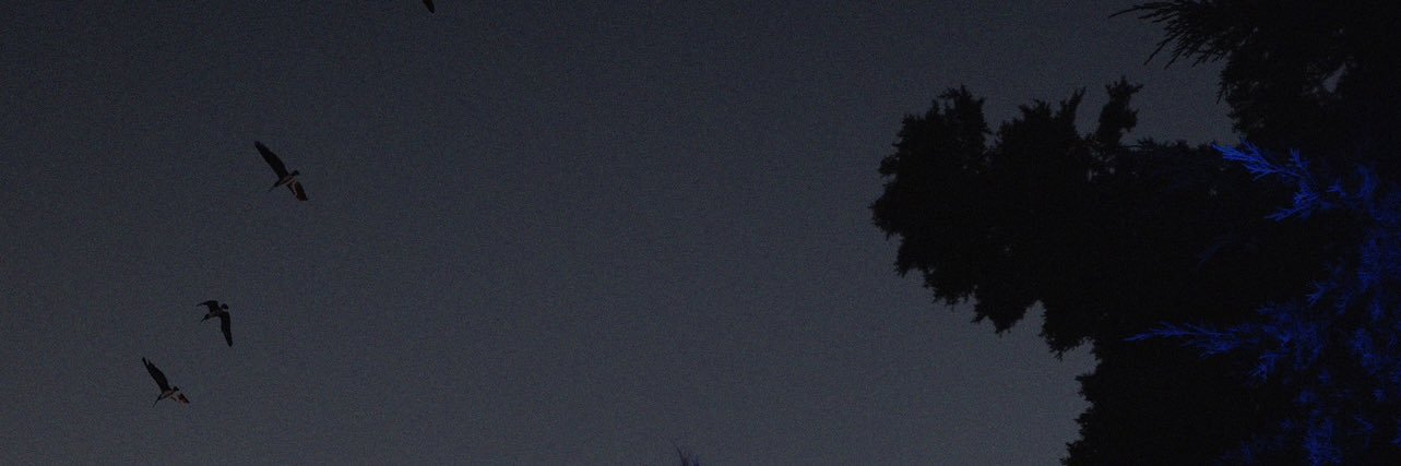 blakeyoung_'s profile banner image