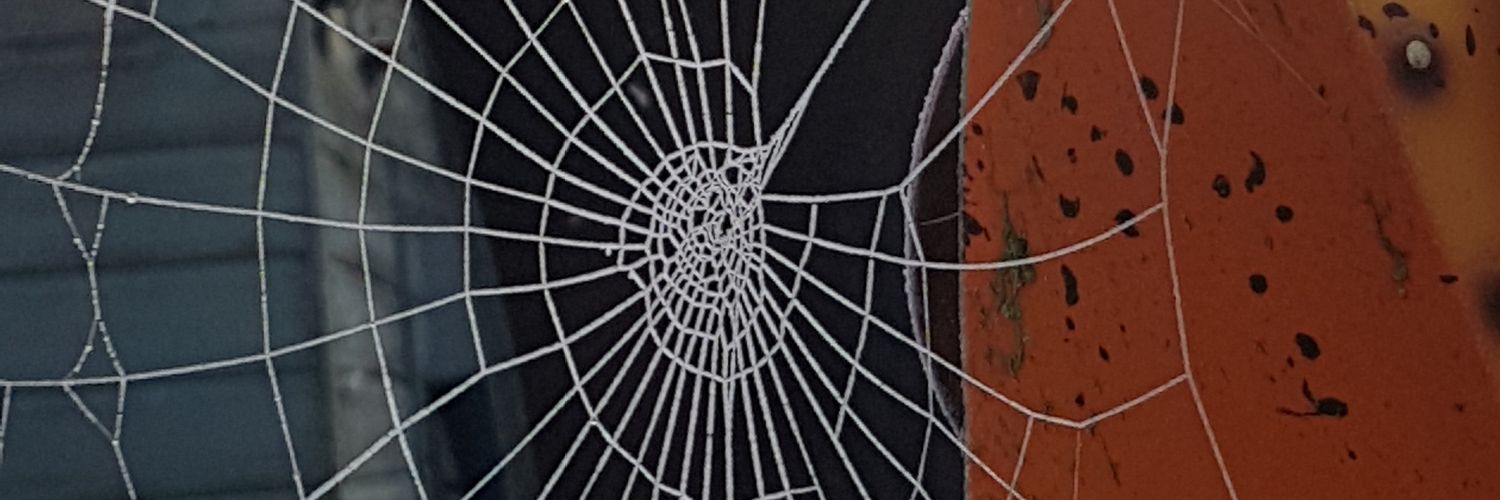Phil_Thomas3's profile banner image