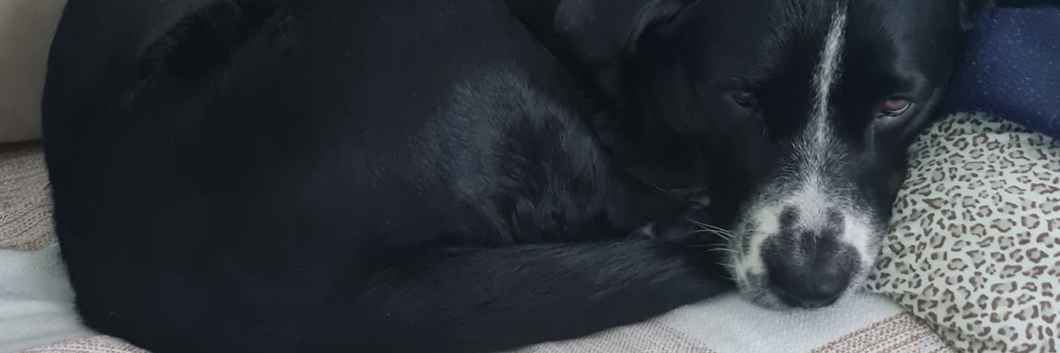brendabtho's profile banner image