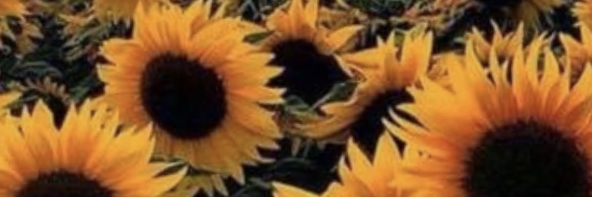 ViryCalixtro's profile banner image