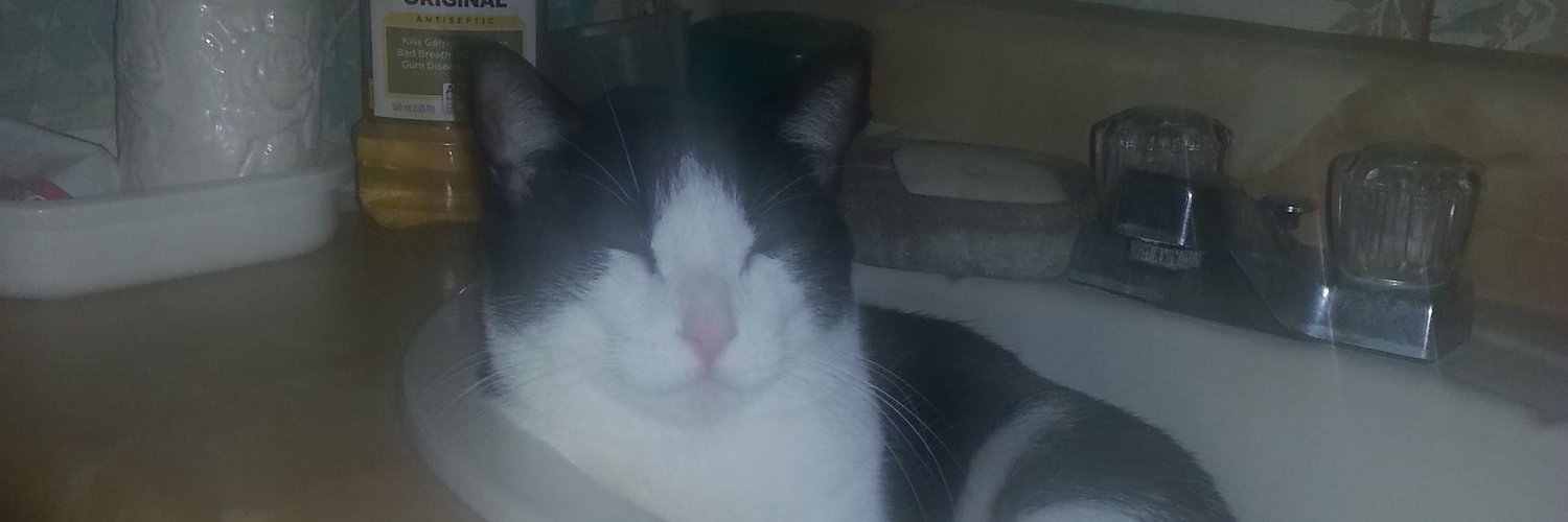 sune2besi's profile banner image