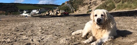 PaoloDeritis4's profile banner image