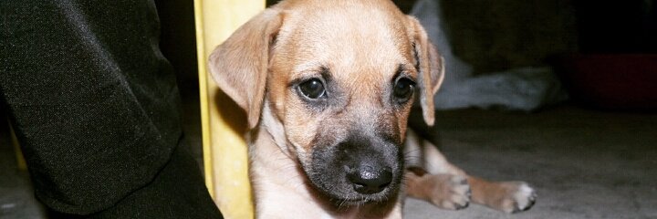 ClaudiaPacheco0's profile banner image