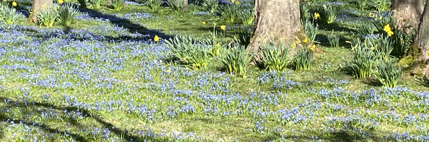 Alex Thompson banner