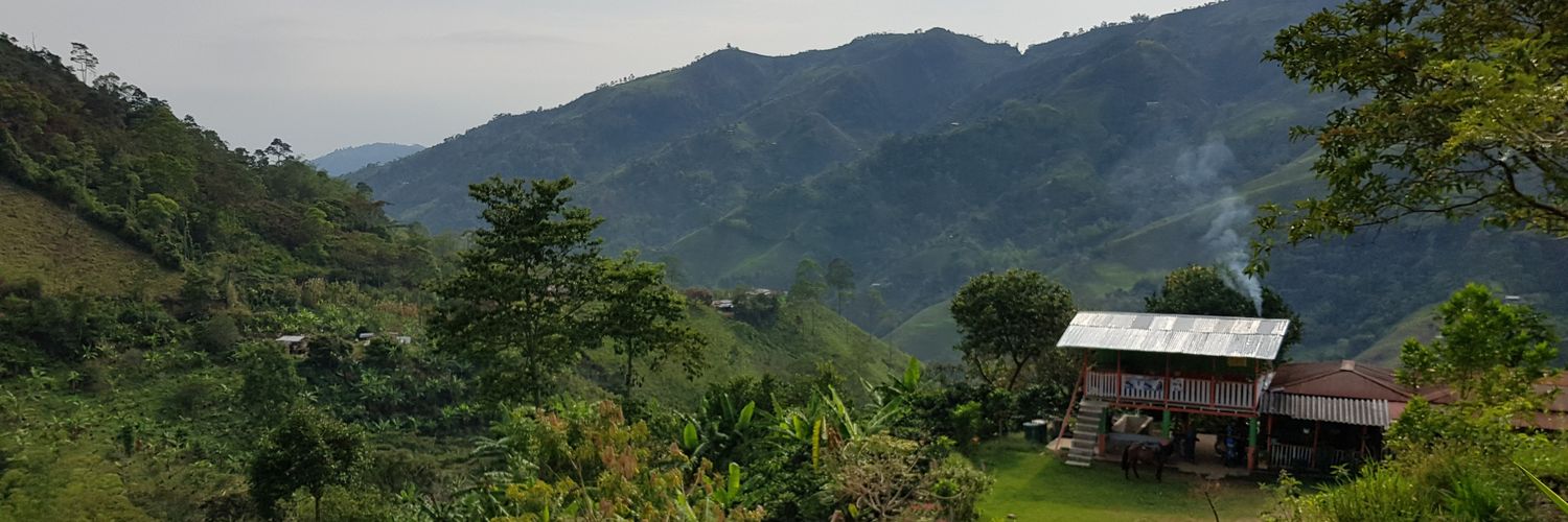 Daniela Quintero Díaz banner