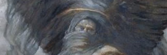 bgatespieface's profile banner image