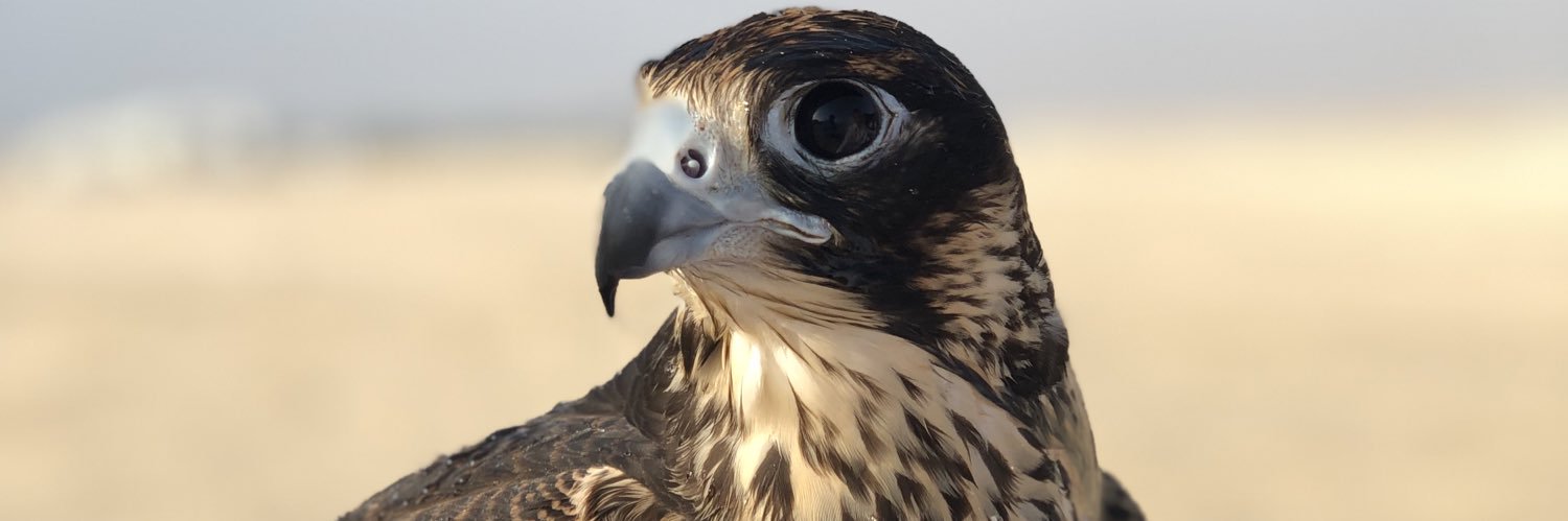 Abdulla ALSulaiti المُضري banner