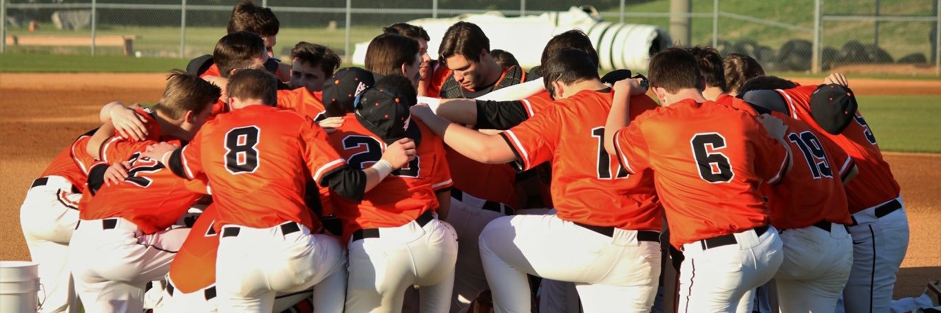 MTCS Baseball banner