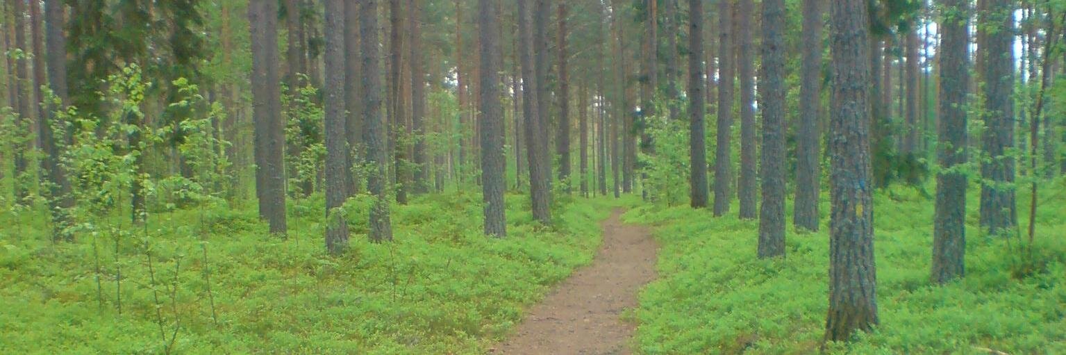 LarsAlmquist's profile banner image
