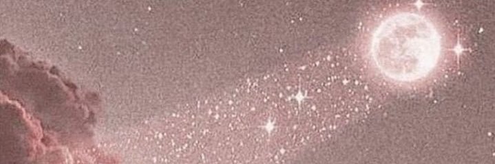 shynanigansss's profile banner image