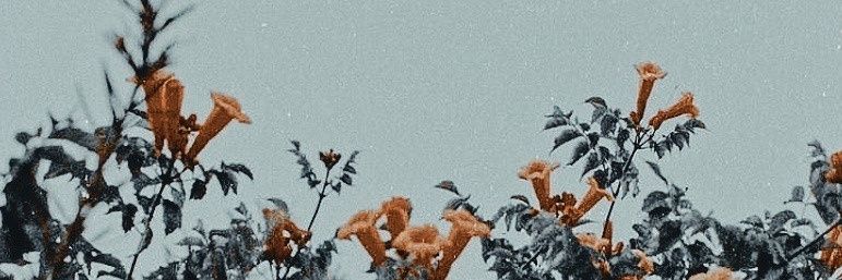 Scoops_troop85's profile banner image