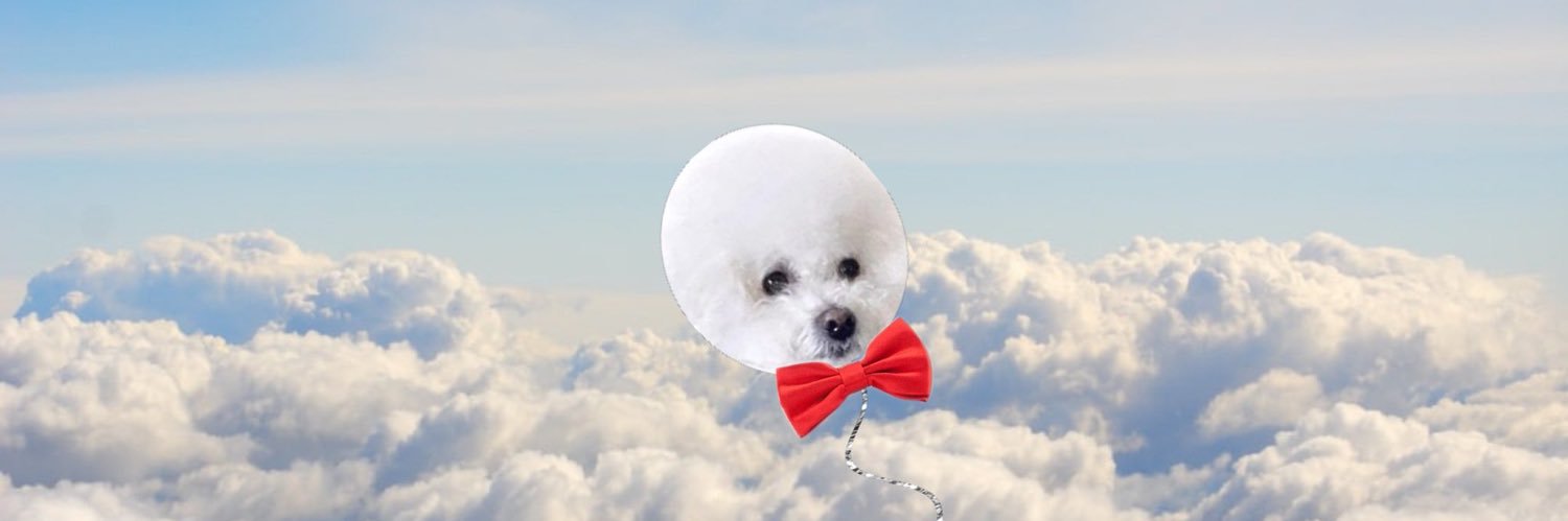 KateZhangyx's profile banner image
