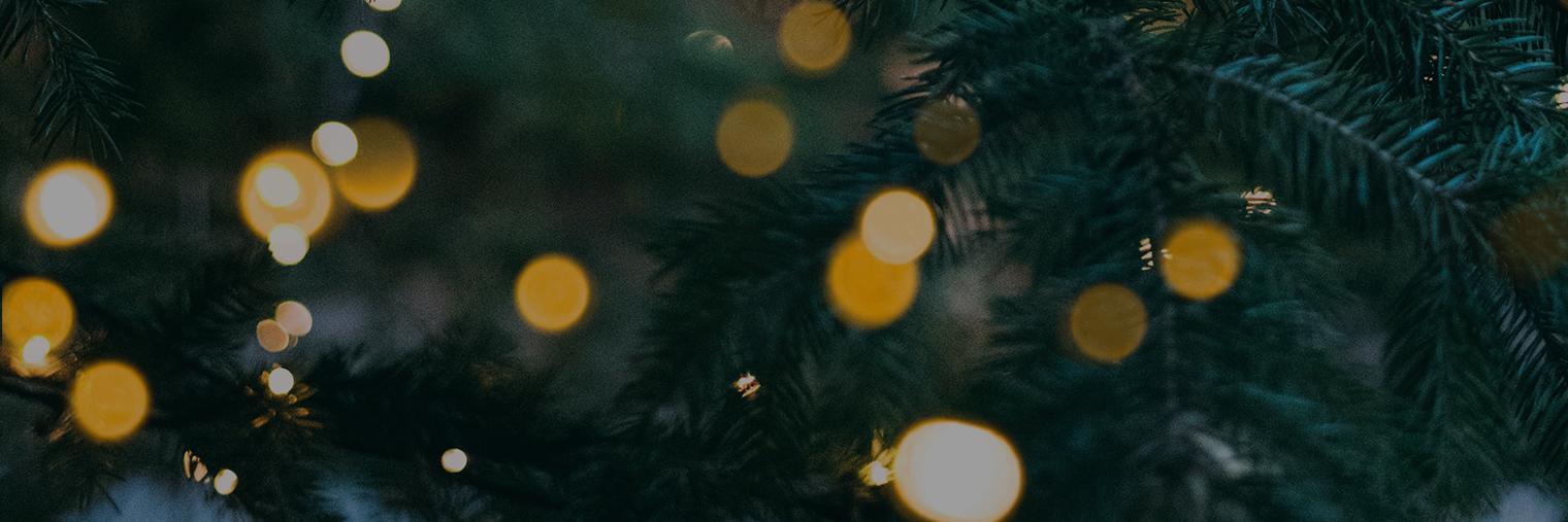 christmasinc's profile banner image