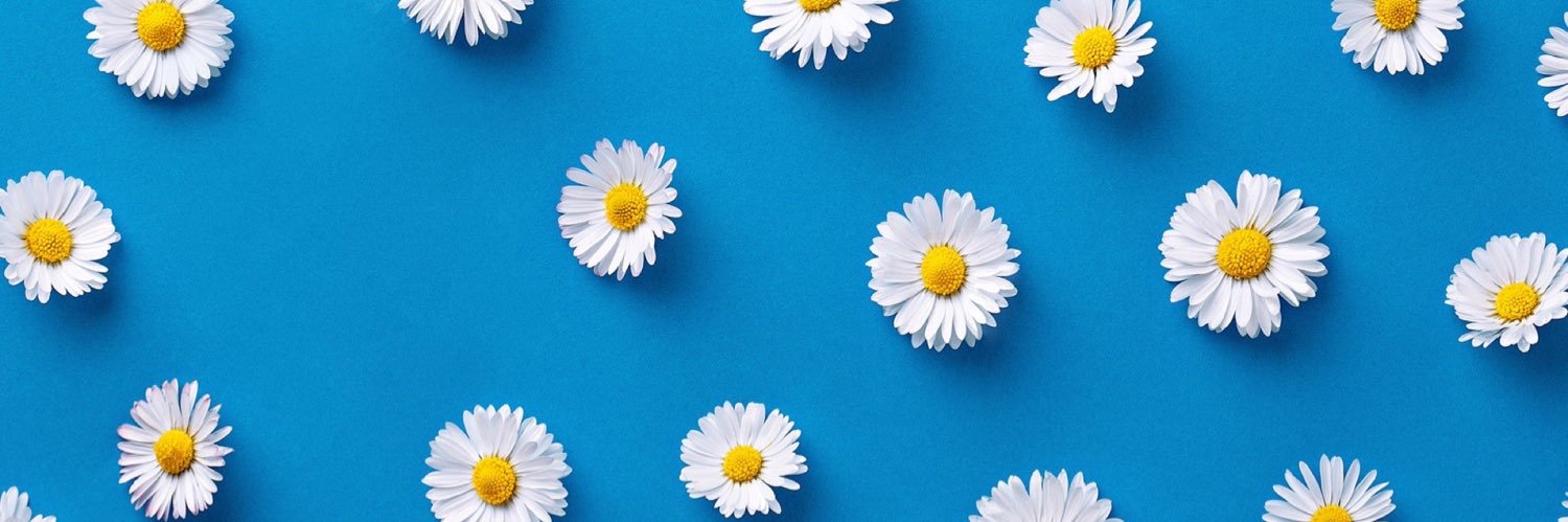 twiggymami's profile banner image