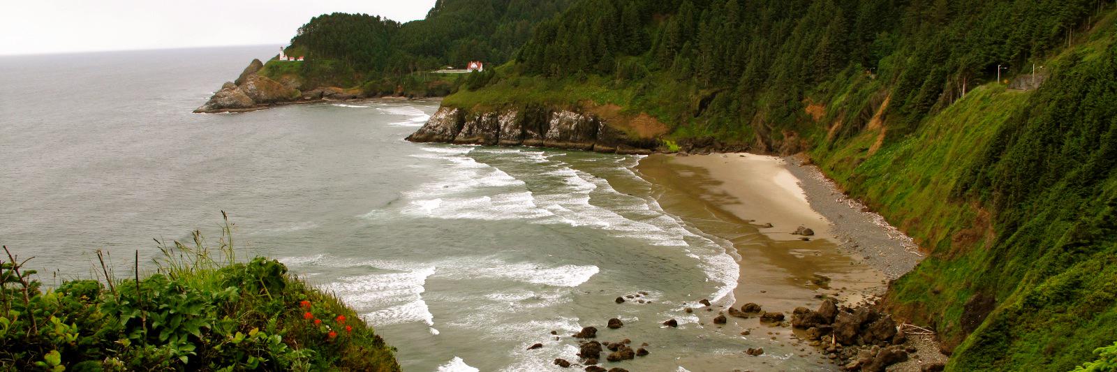 Chief Burns 80 banner