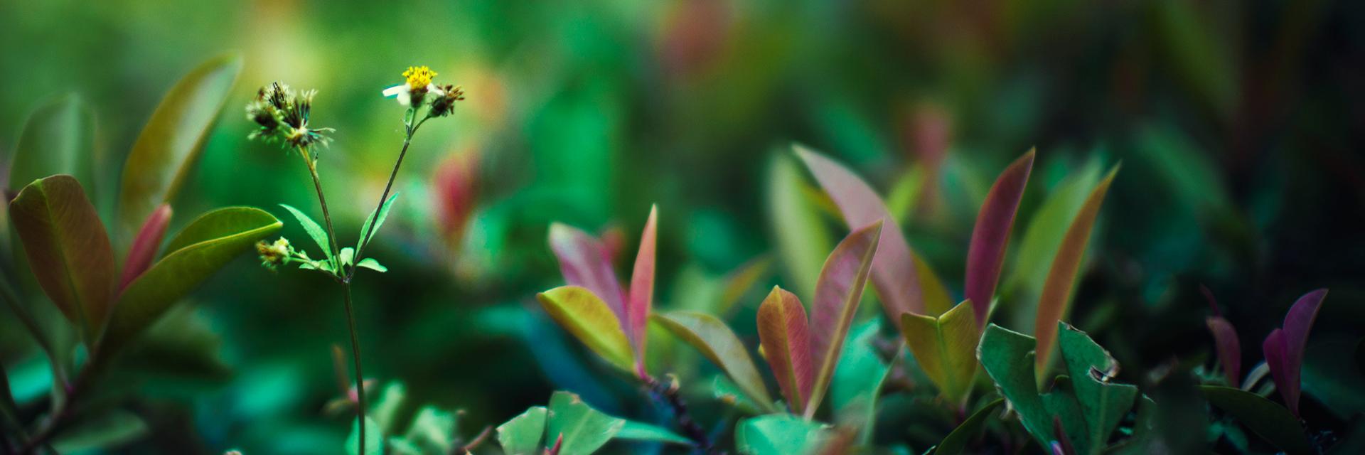 moonmentum's profile banner image