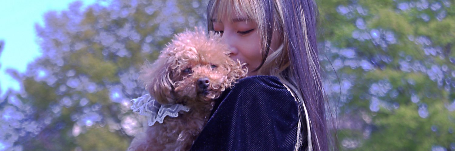向井しずく🐶🍒🍞 banner