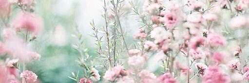 ashtynn_brown's profile banner image