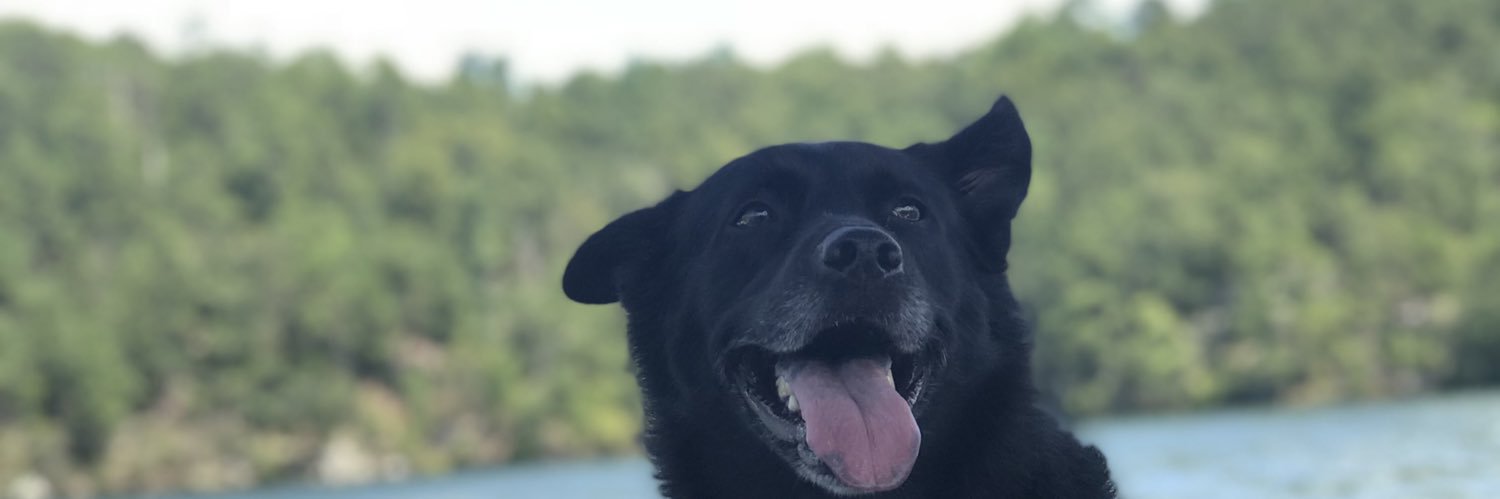 mandabusta's profile banner image