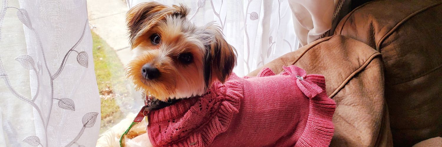 Ana Banana ✝️ banner