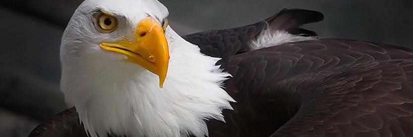 CPofOhio's profile banner image