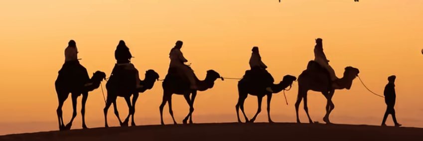عذراً يا قلبي...🤍🕊️ banner