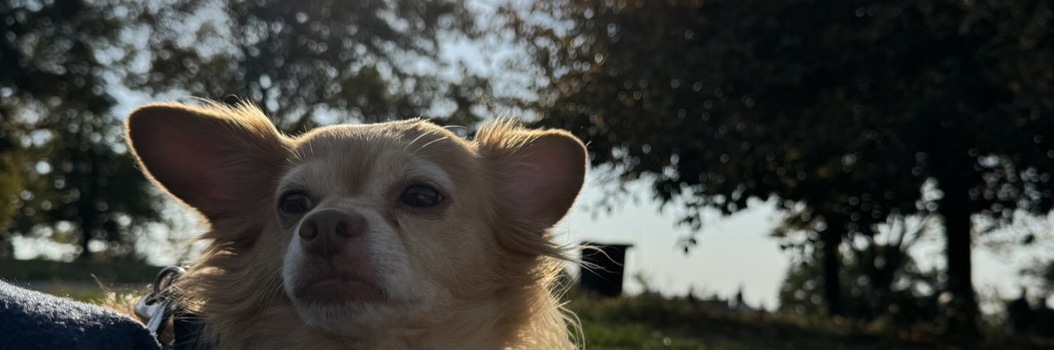 GabeMines's profile banner image