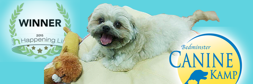 CanineKamp banner