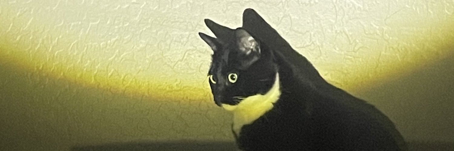 aLeeeexander_'s profile banner image