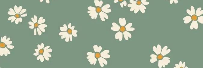 Palomapeonies's profile banner image