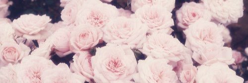 lysssam's profile banner image
