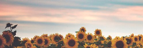 anna_celeste41's profile banner image