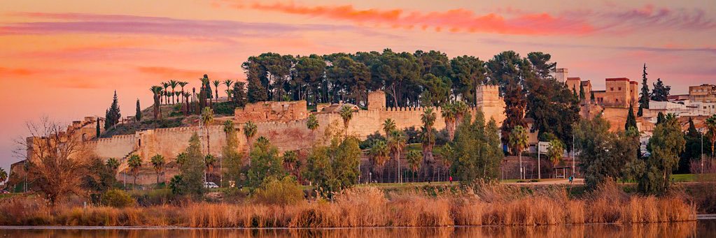morci_sergio's profile banner image