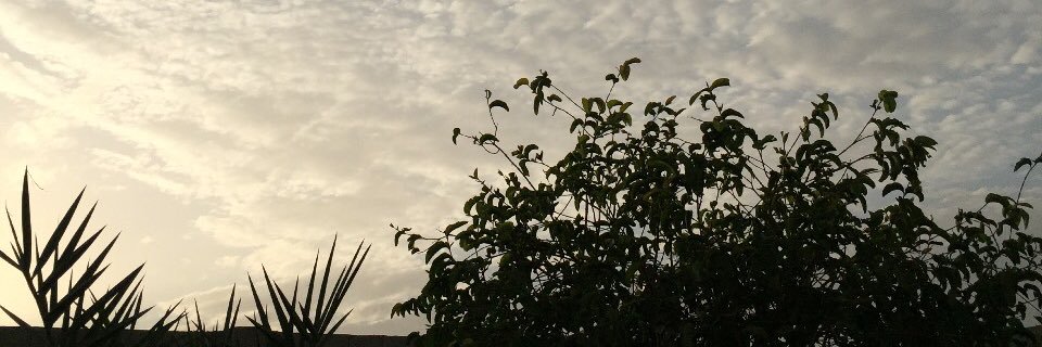 a_cutte's profile banner image