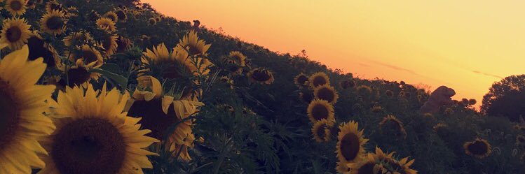 KaylaBlazier's profile banner image