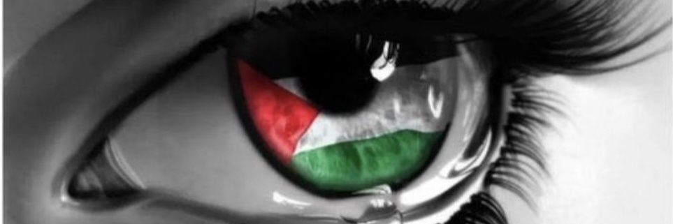 cira r. 🇵🇸🇯🇴🇷🇸🇸🇾🇾🇪🇱🇧🇮🇶🇮🇷🇨🇺🇻🇪🦝 banner