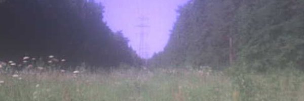 Lucy__Gaffney Profile Banner