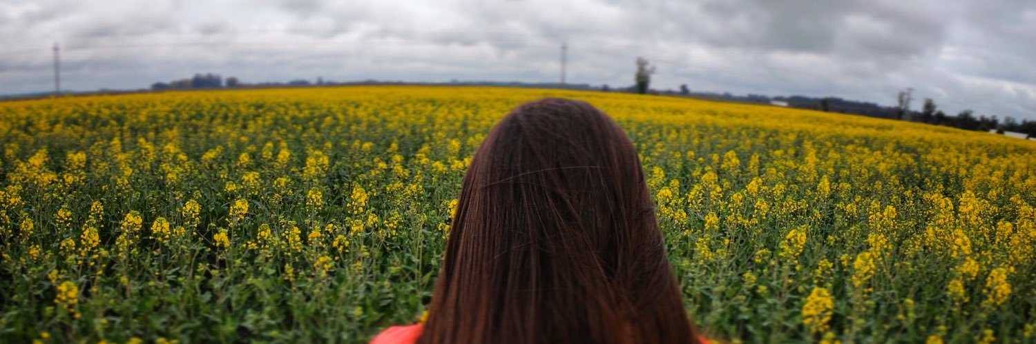 Aylinvp's profile banner image